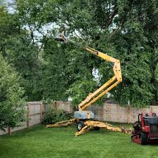 Best Lawn Watering Services  in Fifth Street, TX