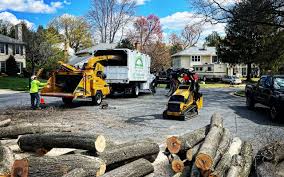 Best Leaf Removal  in Fifth Street, TX