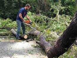 Best Utility Line Clearance  in Fifth Street, TX