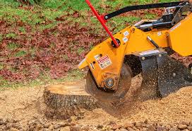 How Our Tree Care Process Works  in  Fifth Street, TX