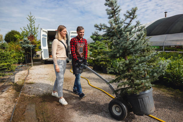 Best Tree Mulching  in Fifth Street, TX