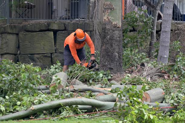 Best Commercial Tree Services  in Fifth Street, TX